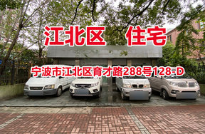序号04：宁波市江北区育才路288号128-D